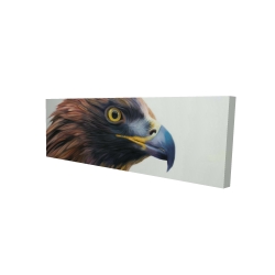 Brown-headed eagle
