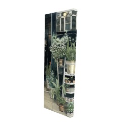 Plants shop
