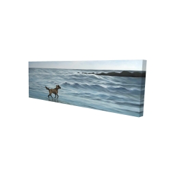 Dog on the beach