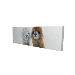 Two lamas