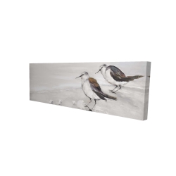 Deux oiseaux bécasseau
