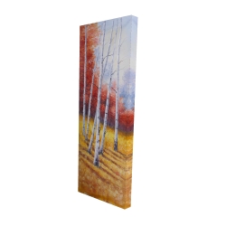 Paysage d'automne avec bouleaux