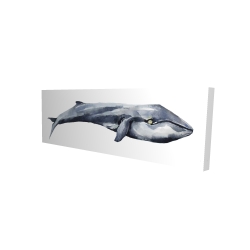 Baleine en aquarelle