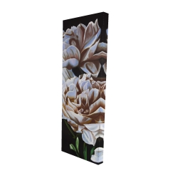 Peonies