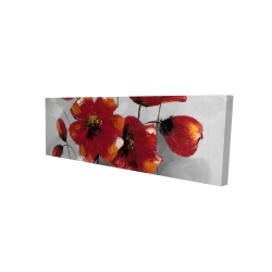 Anemone flowers