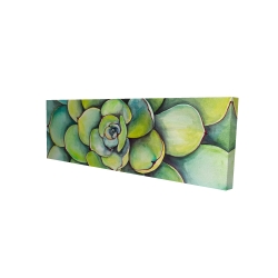 Succulent à l'aquarelle