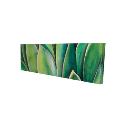Plante d'agave à l'aquarelle