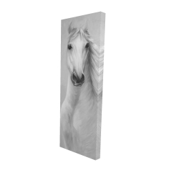Cheval blanc puissant monochrome