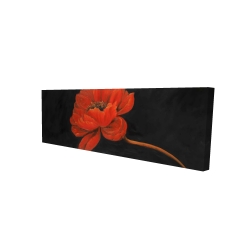 Red petal flower