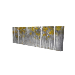 Birch forest
