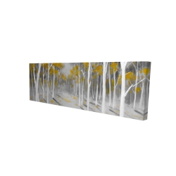 Yellow birch forest