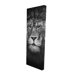 Lion portrait