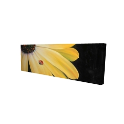 Marguerite jaune et coccinelle