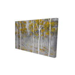 Birch forest