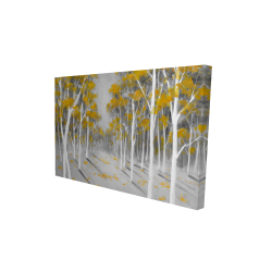 Yellow birch forest