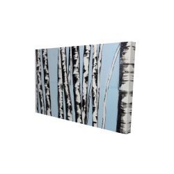 Pastel birches