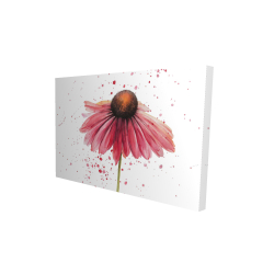 Pink daisy