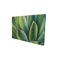 Plante d'agave à l'aquarelle