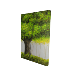 Big green tree