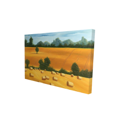 Hay bale fields