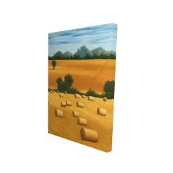 Hay bale fields