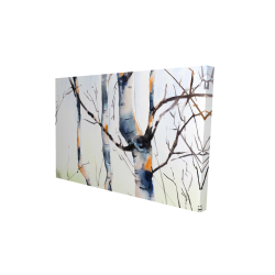 Three small birch trees