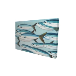 Small fish of caesio caerulaurea