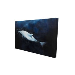 Swimming dolphin
