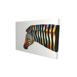 Colorful zebra