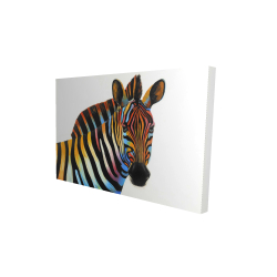 Colorful profile view of a zebra