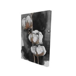 Watercolor cotton flowers