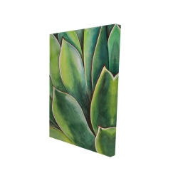 Plante d'agave à l'aquarelle