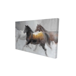 Troupeau de chevaux sauvages