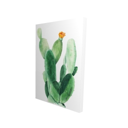 Cactus en fleuraison