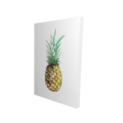 Ananas à l'aquarelle