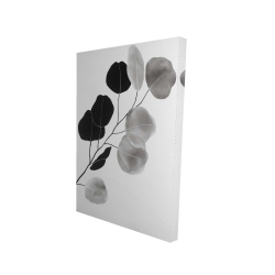 Branche en tons de gris et feuilles rondes