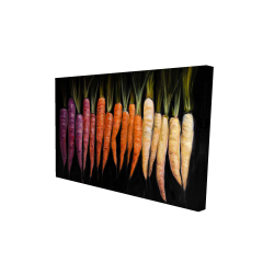 Colorful carrots