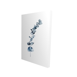 Feuilles d'eucalyptus bleu