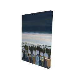 Vue d'oiseau de la plage