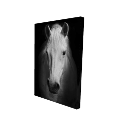 Monochrome horse
