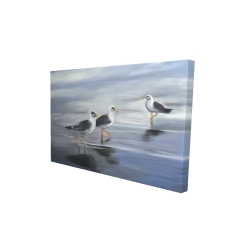 Three gulls