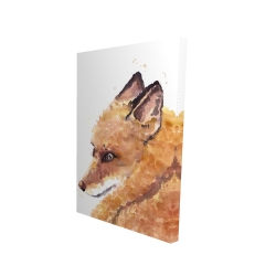 Renard