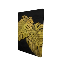 Gold monstera