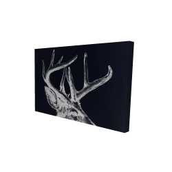 Blue roe deer plume