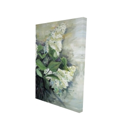 Lilas blanc