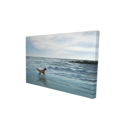 Dog on the beach