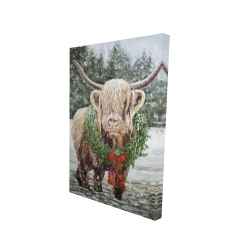Vache highland de noël