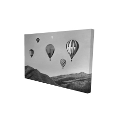 Air balloon landscape