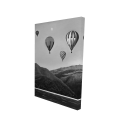 Air balloon landscape