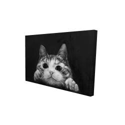Chat curieux